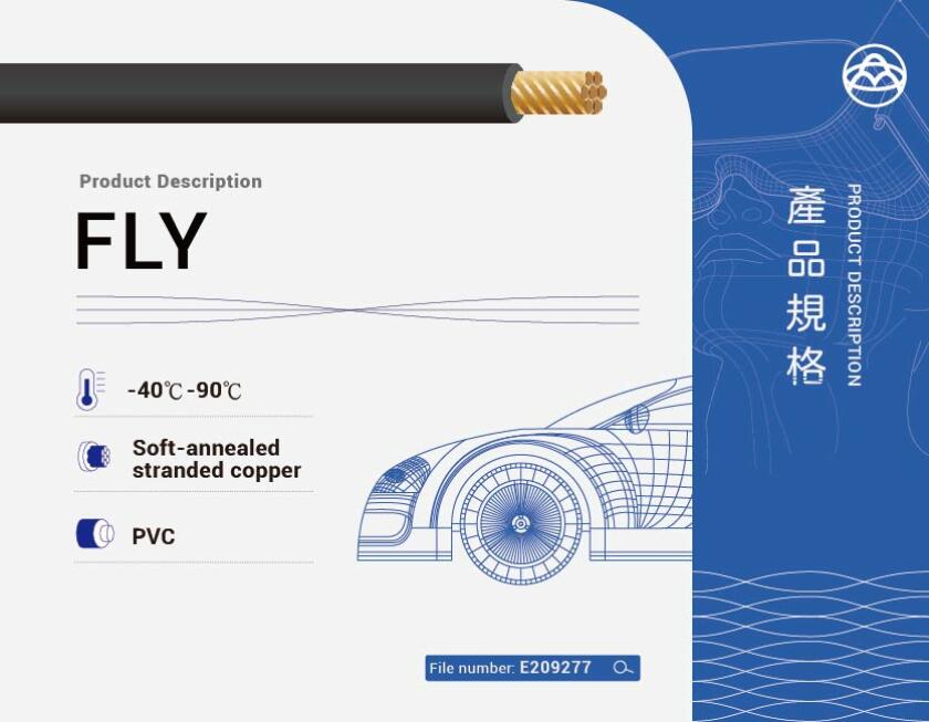 FLY
