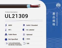 UL21309